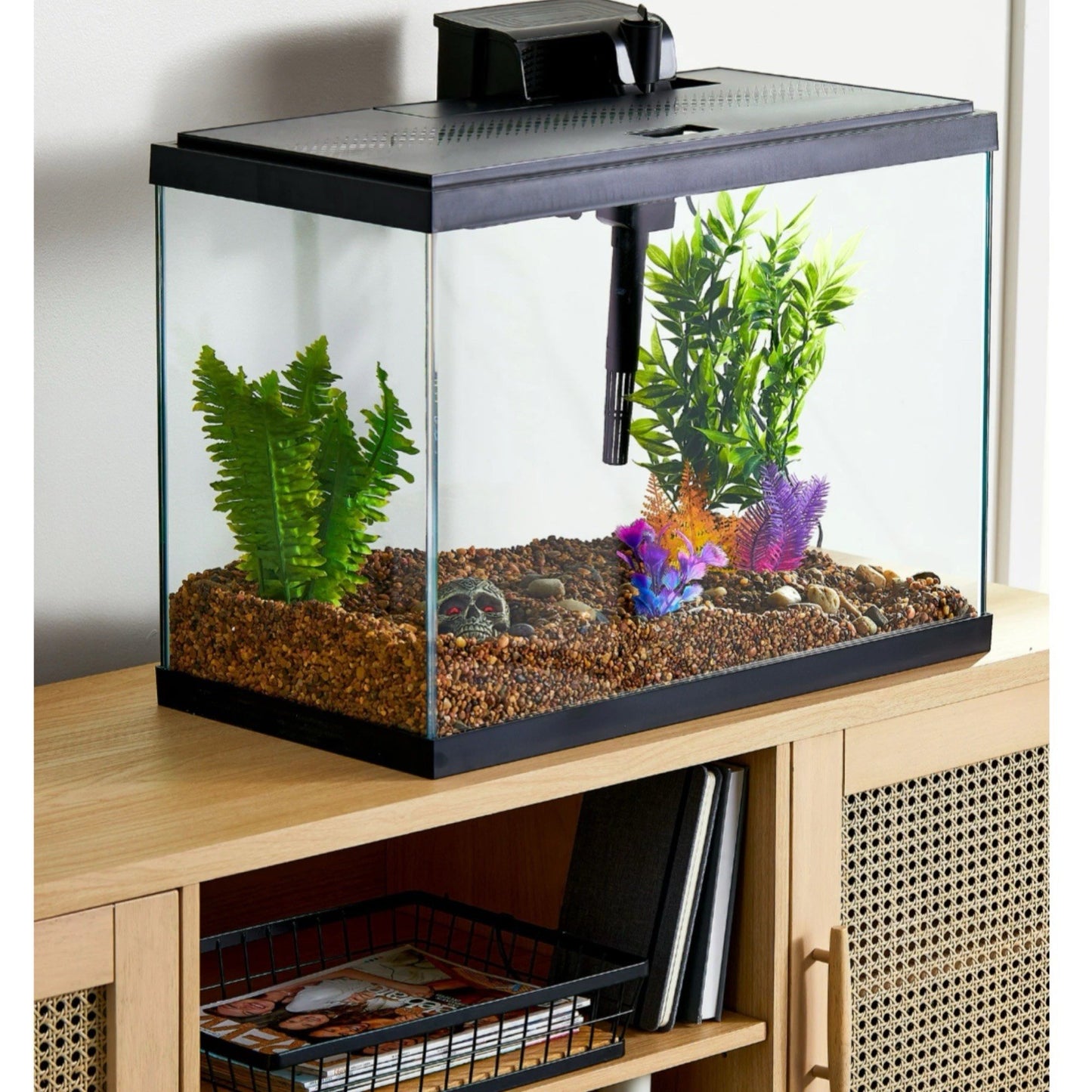 Aqua Culture Glass 20 Gallon Aquarium Starter Kit - Black