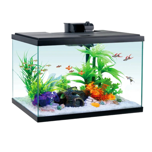 Aqua Culture Glass 20 Gallon Aquarium Starter Kit - Black